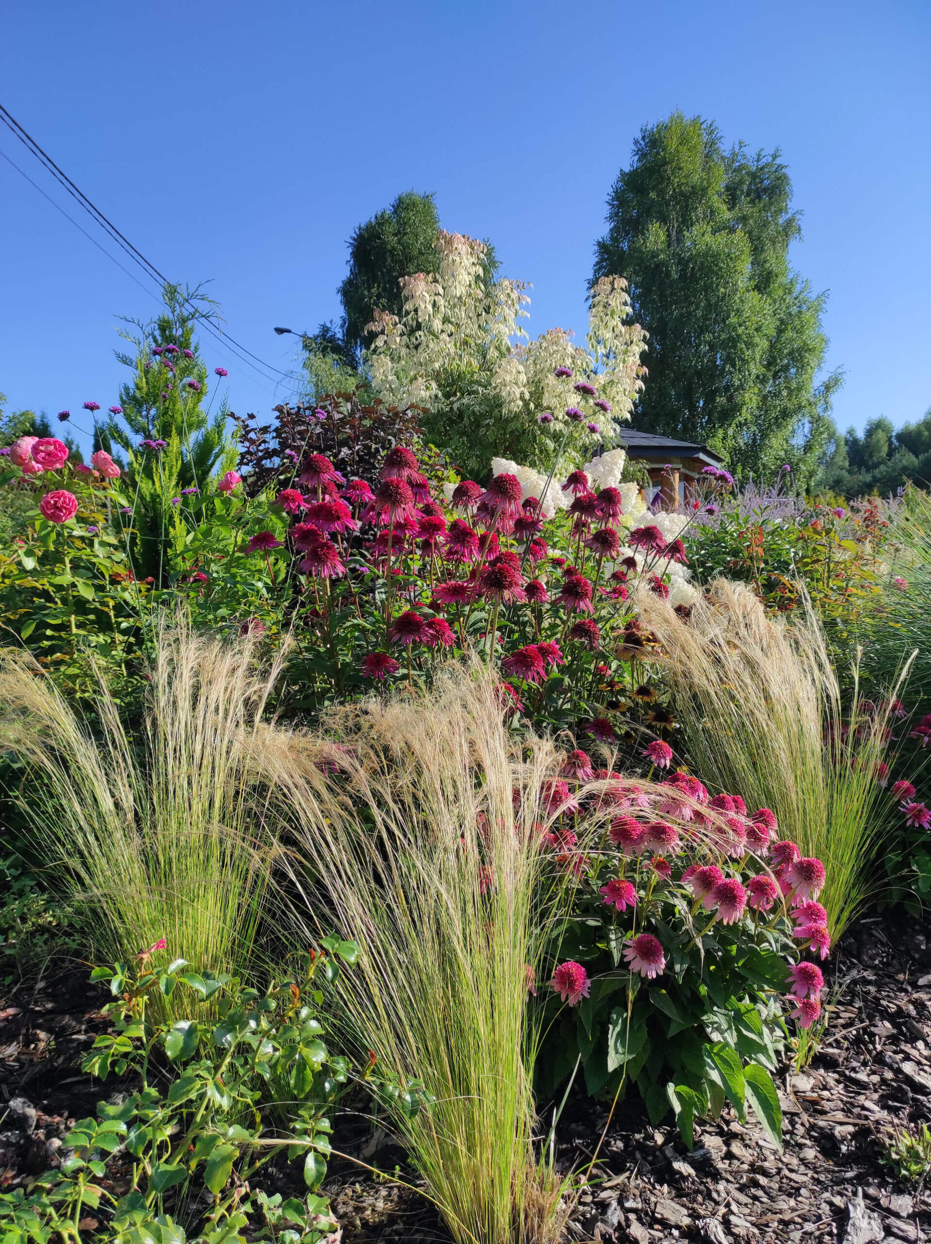 Ogrody harmonizujące z naturą