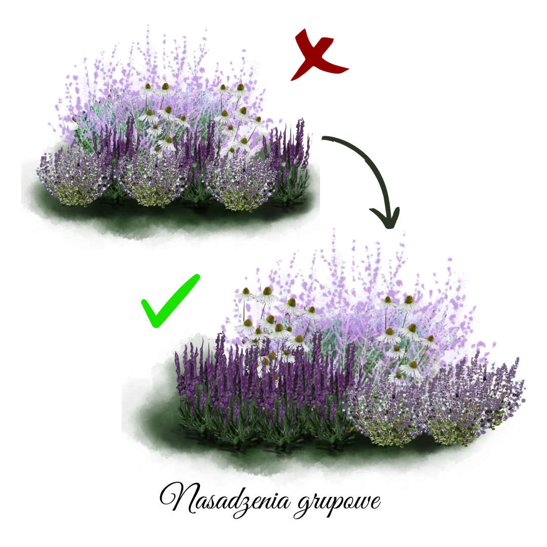 Dlaczego powinniśmy sadzić rośliny w grupach?