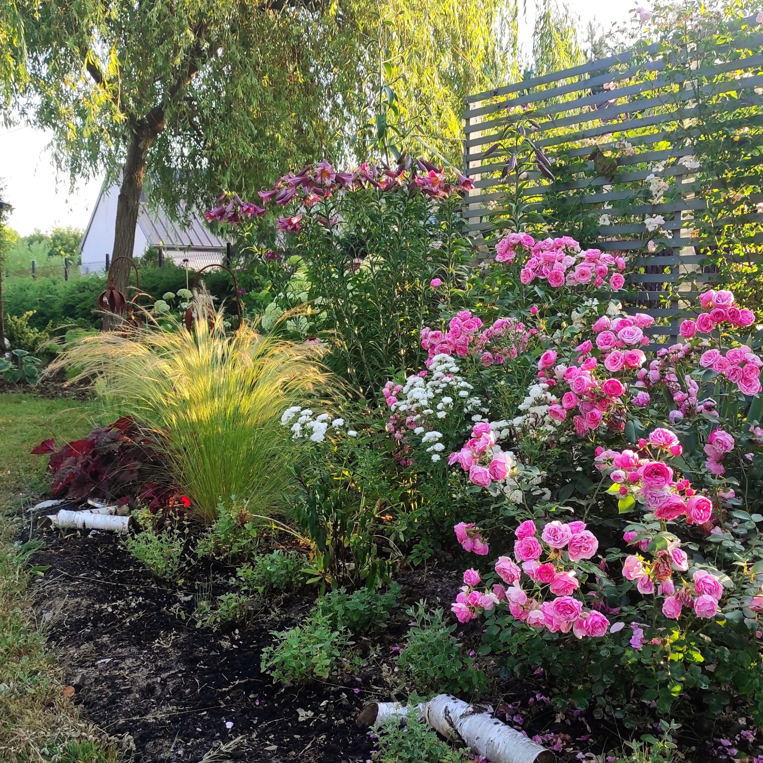 Zgodność odmian roślin z projektu ogrodu podczas jego wykonania