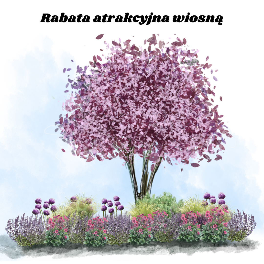 Rośliny kwitnące wczesną wiosną