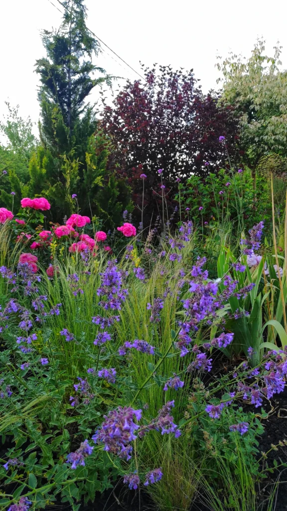 Kwiaty w ogrodzie naturalistycznym