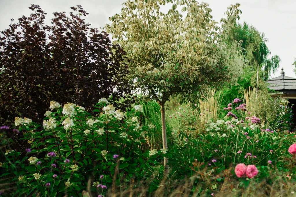 Ogrody naturalistyczne - Ogrody Anety