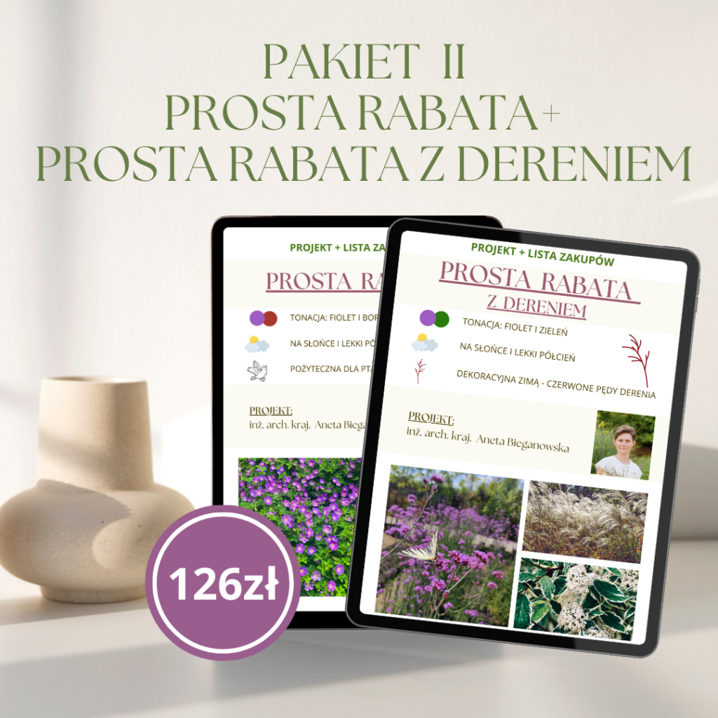 PAKIET II: Prosta rabata + Prosta rabata z dereniem