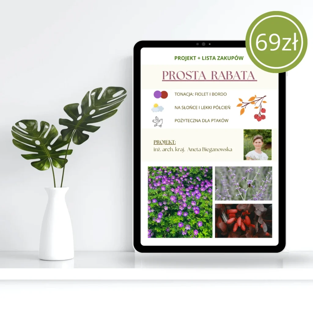Prosta rabata
