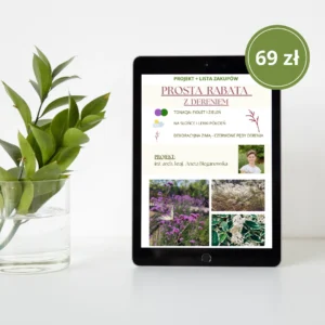 Prosta rabata z dereniem