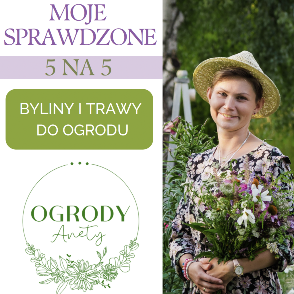 5 na 5 - byliny i trawy