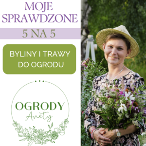 5 na 5 - byliny i trawy