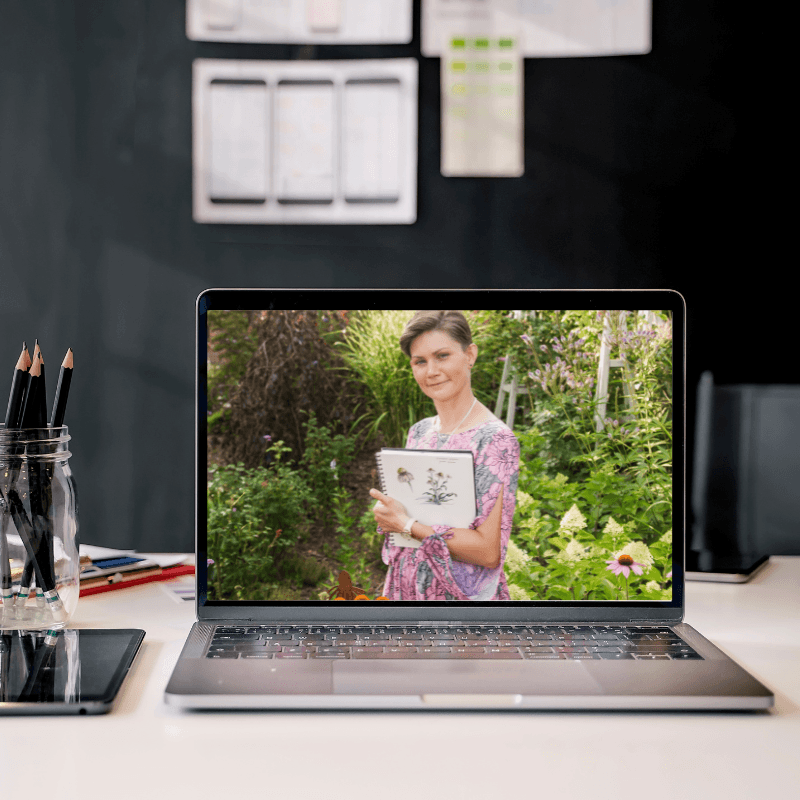 Konsultacja online - Ogrody Anety